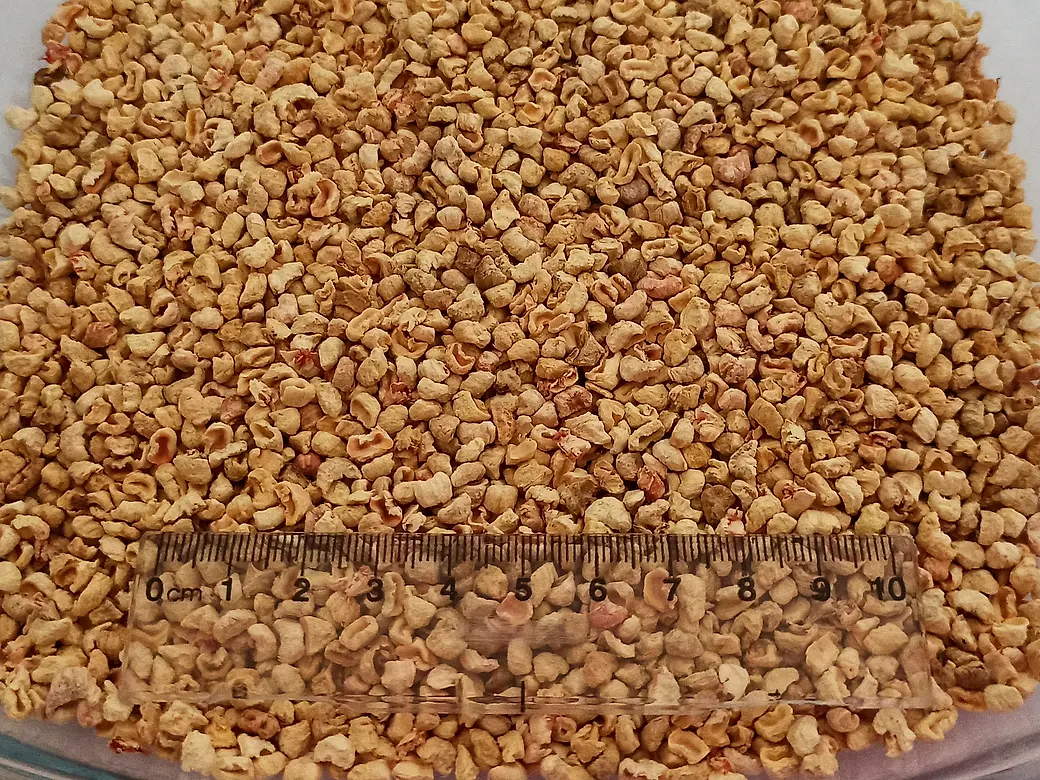 Fıstık Kabuğu Granülü — granül dokusu yakın makro çekim